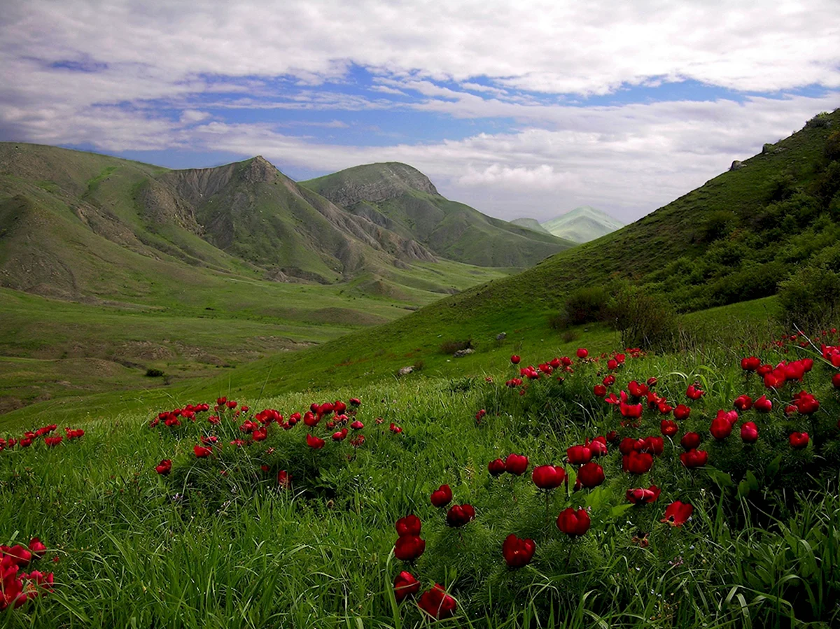 Горные Луга Крыма