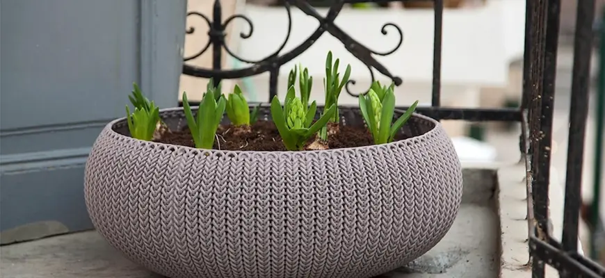 Кашпо Keter cozies - l