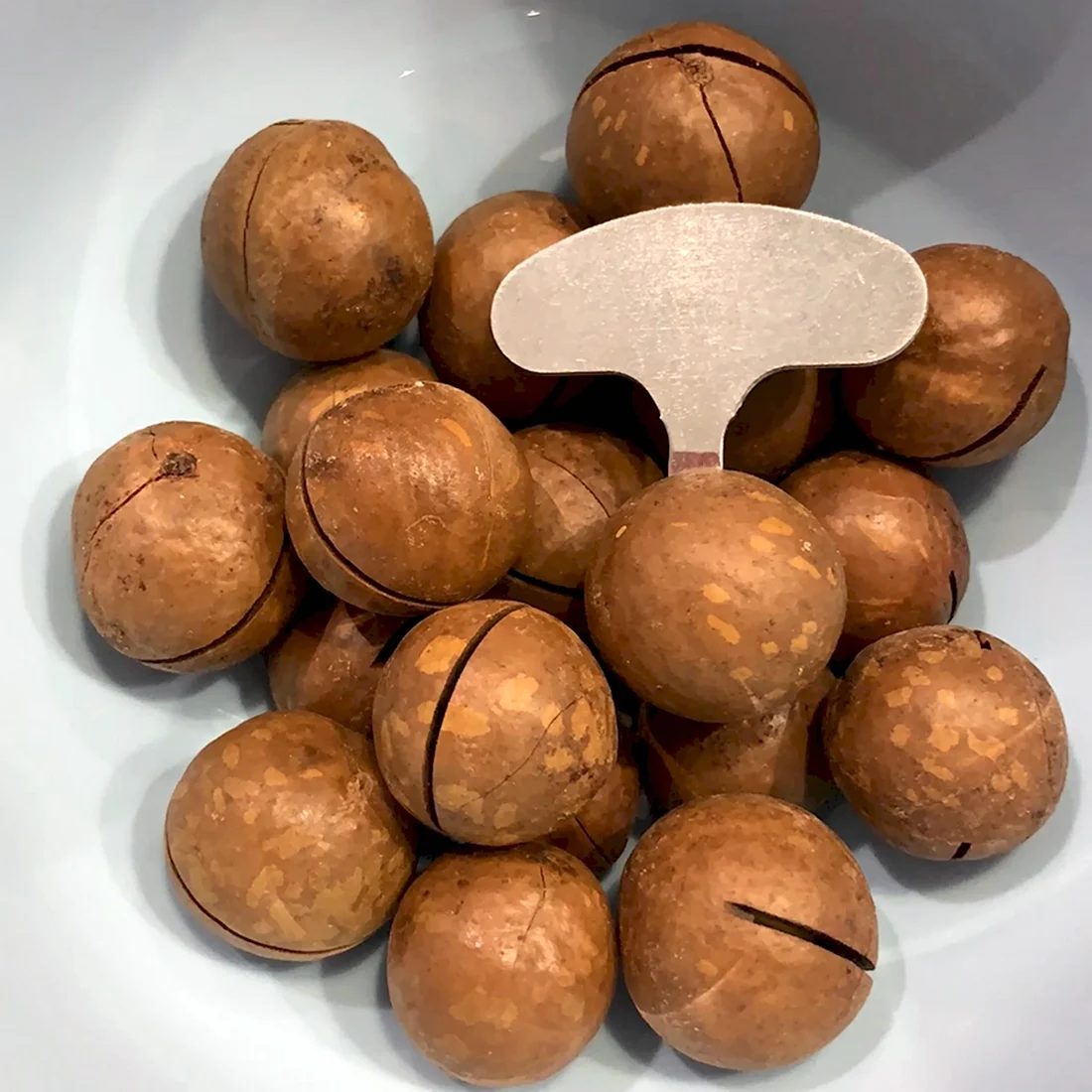 Макадамия