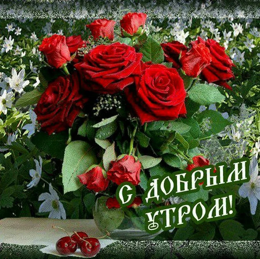 Роскошный букет красных роз и доброе утро