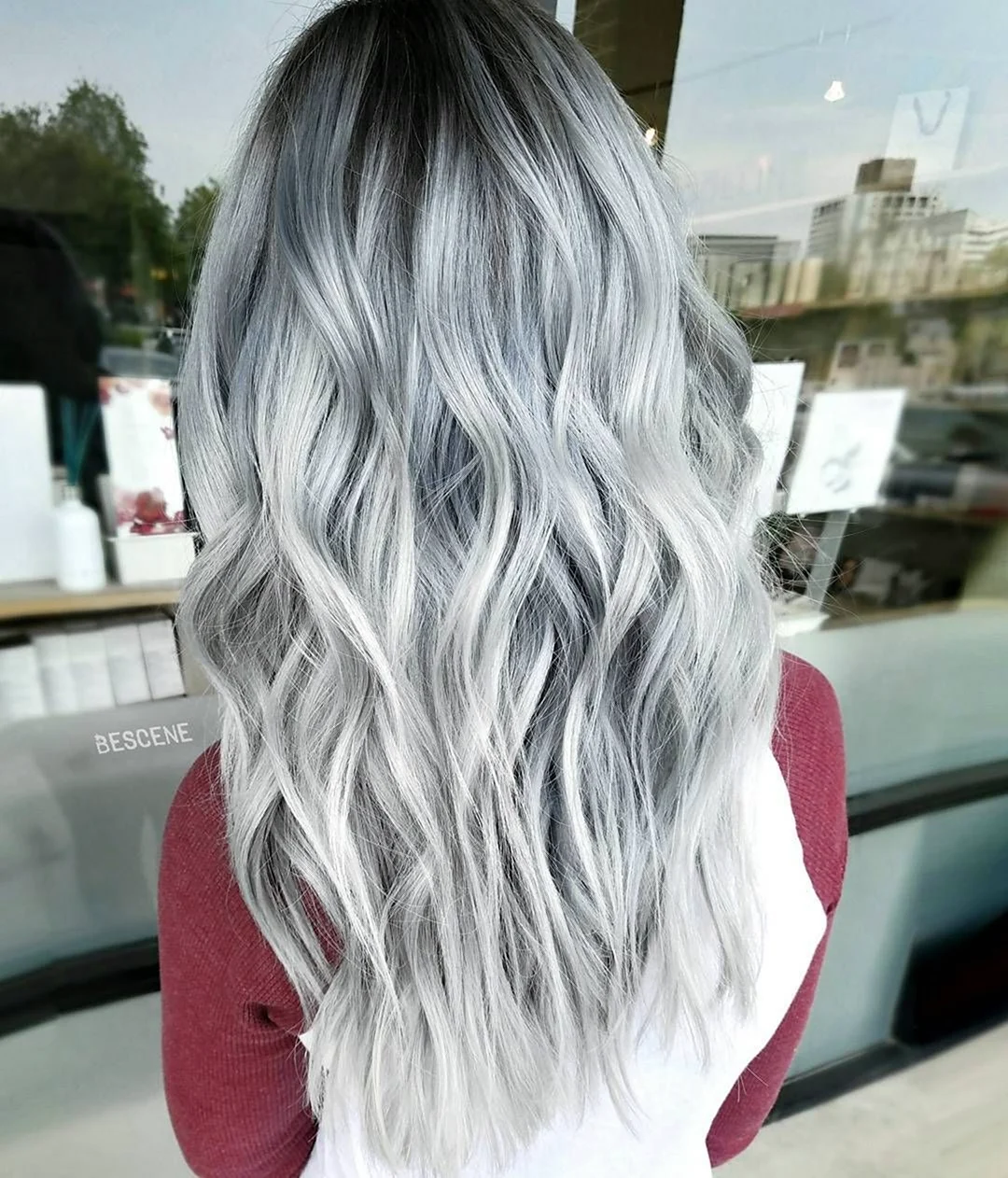 Сильвер грей Silver Gray
