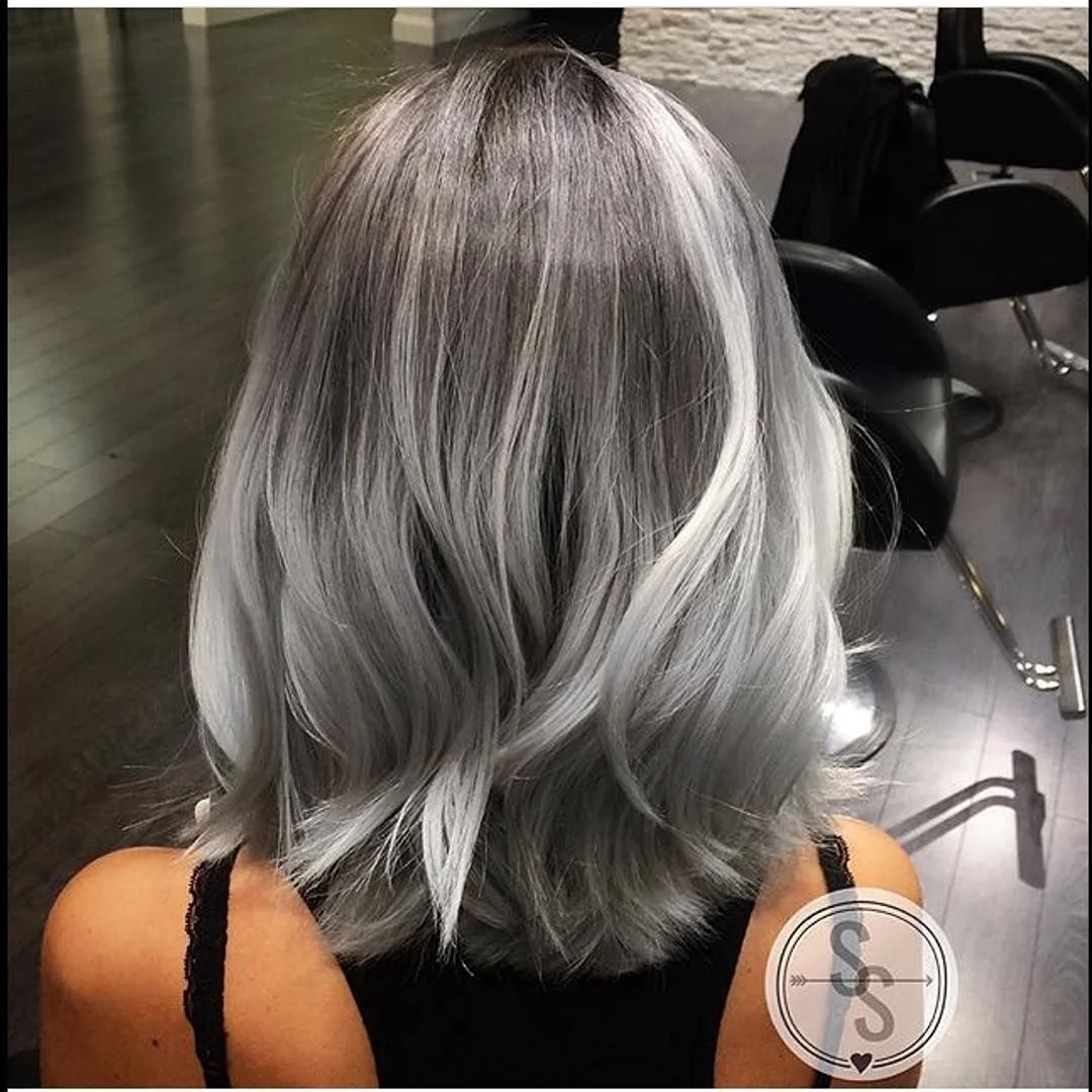 Сильвер грей Silver Gray