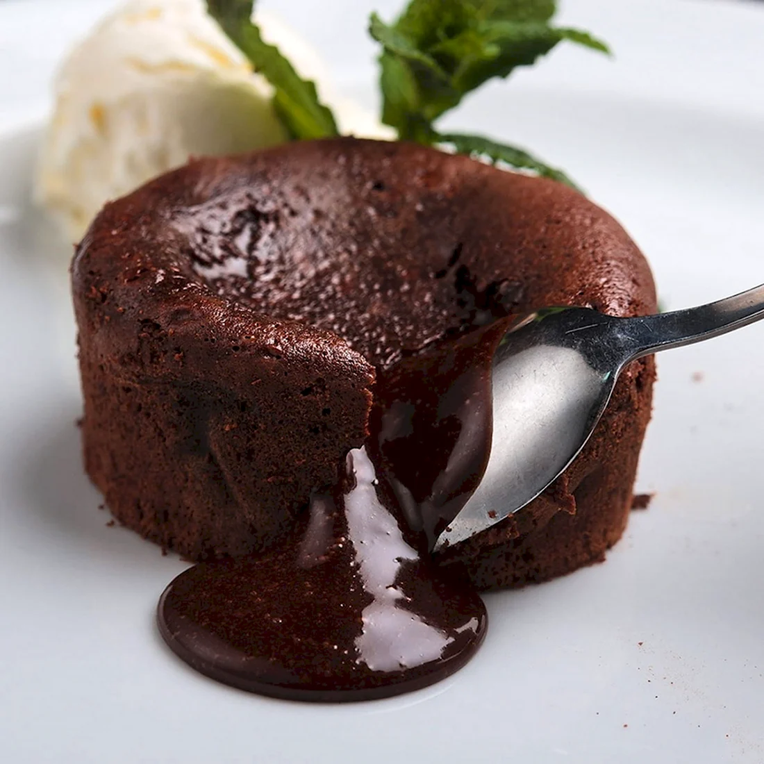 Sufle суфле 13 бордо